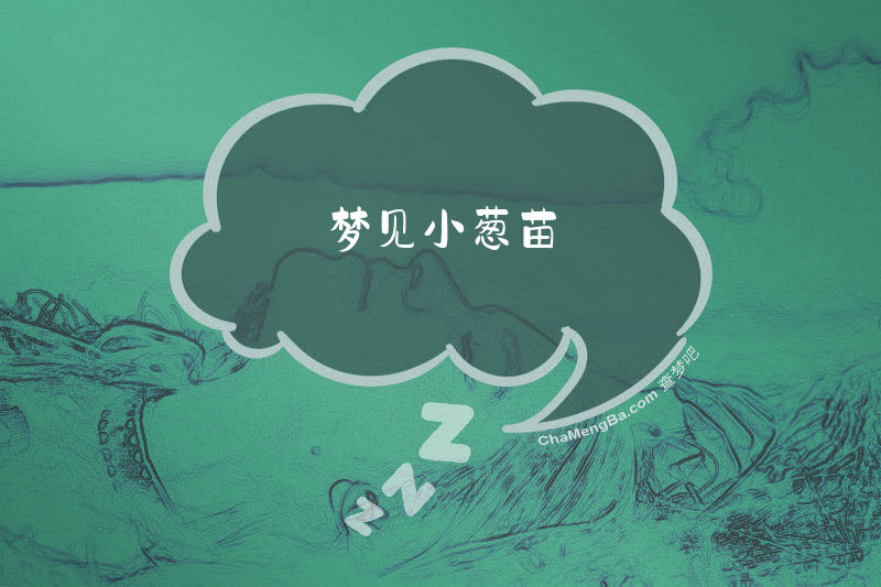 梦见小葱苗