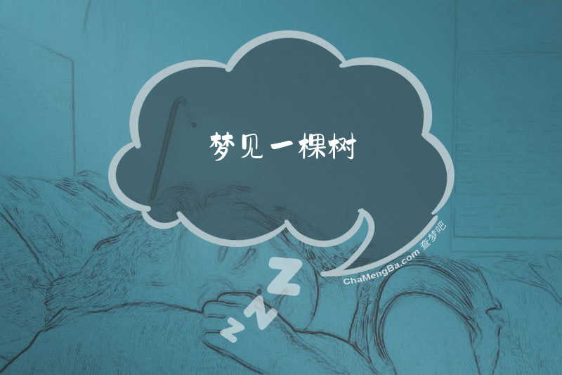 梦见一棵树