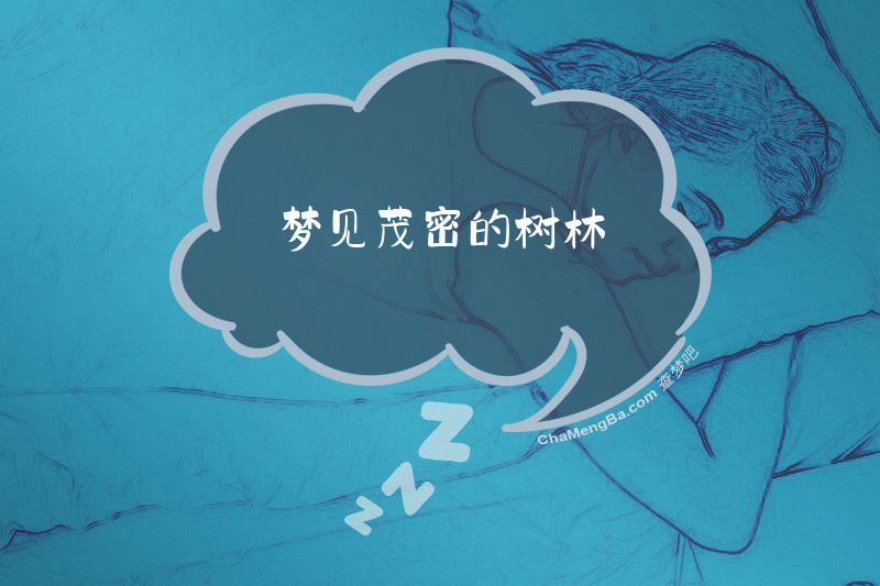 梦见茂密的树林