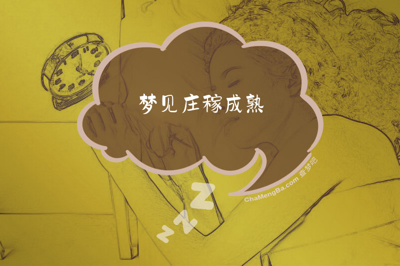 梦见庄稼成熟