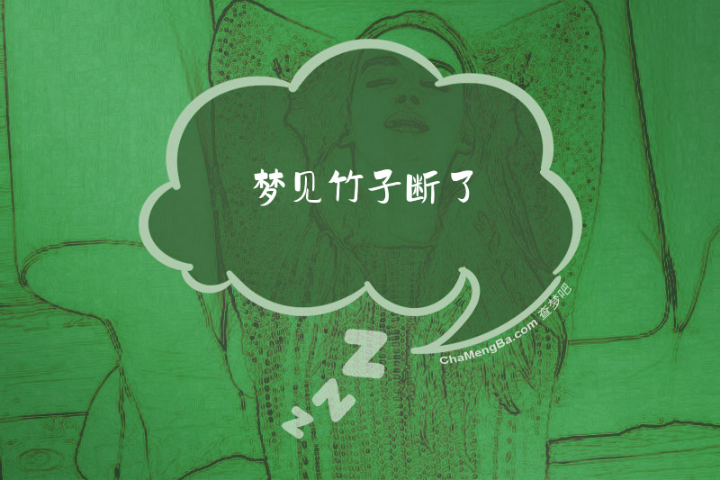 梦见竹子断了
