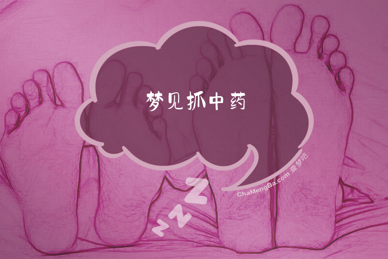 梦见抓中药