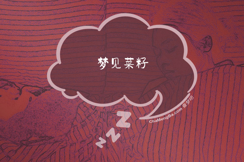 梦见菜籽