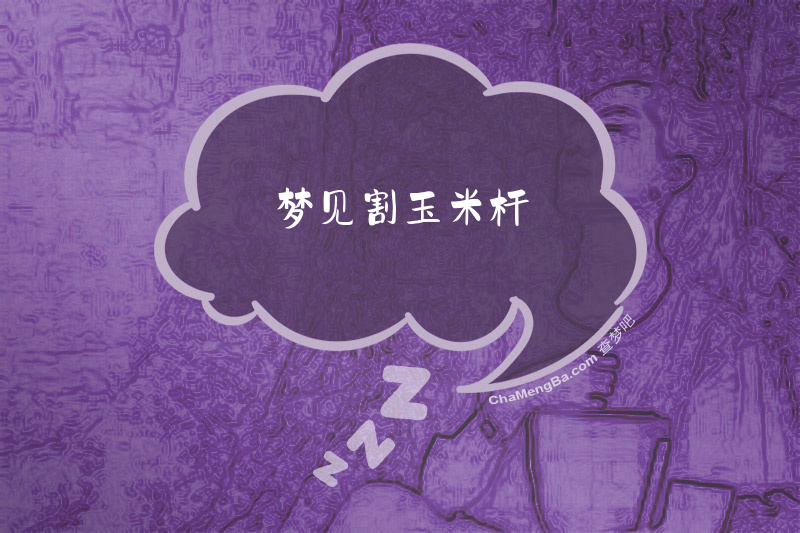 梦见割玉米杆