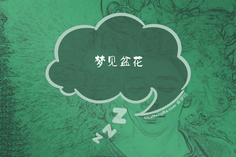 梦见盆花