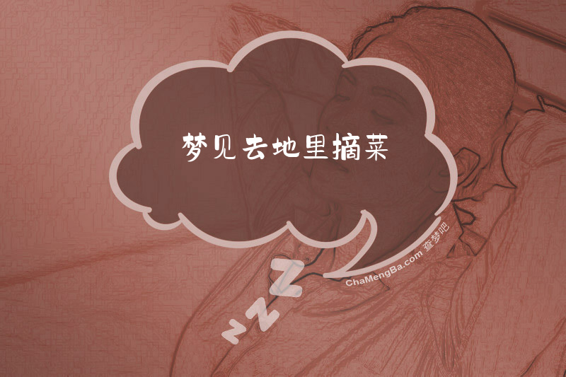 梦见去地里摘菜