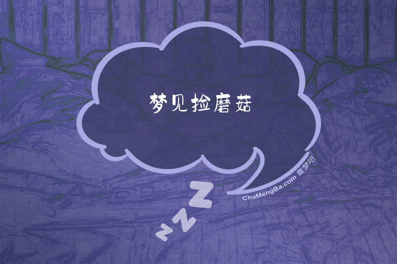 梦见捡磨菇