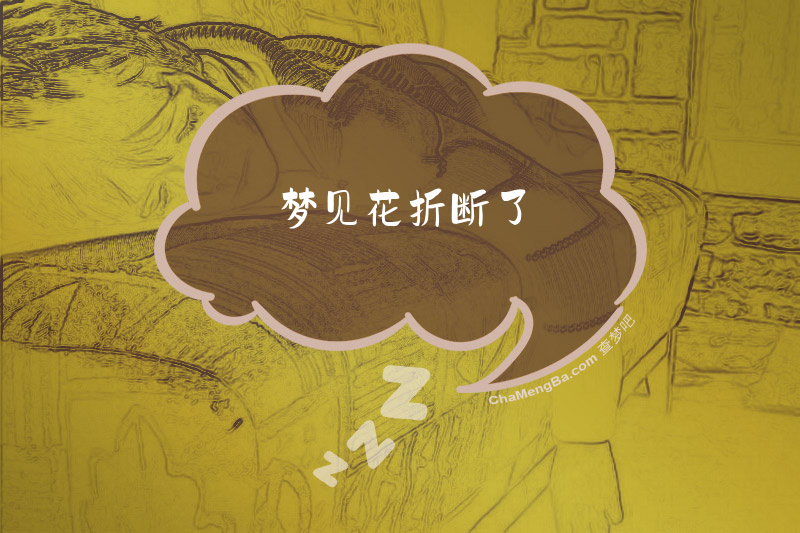 梦见花折断了