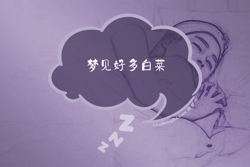 梦见好多白菜