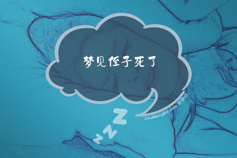 梦见侄子死了