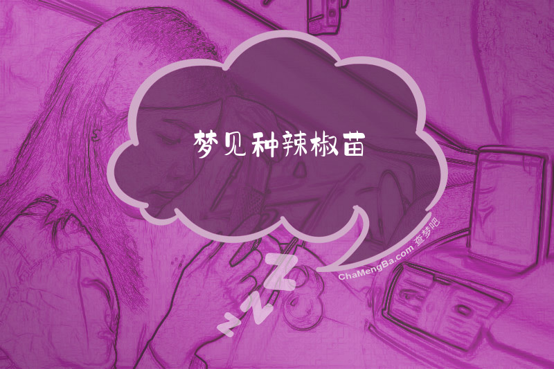 梦见种辣椒苗