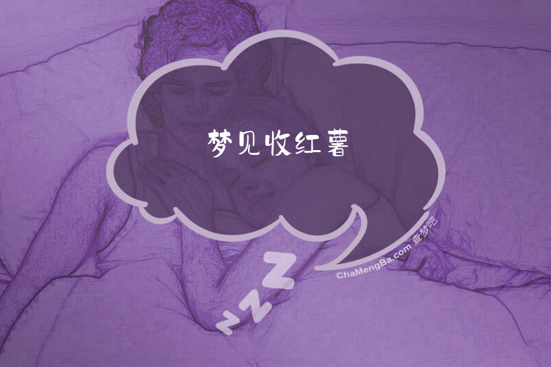 梦见收红薯