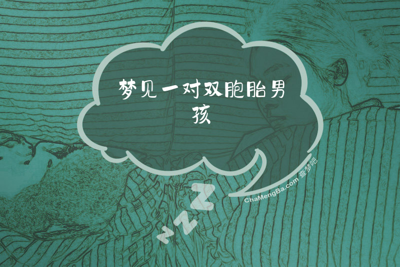 梦见一对双胞胎男孩