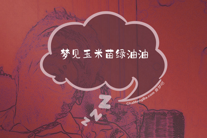 梦见玉米苗绿油油