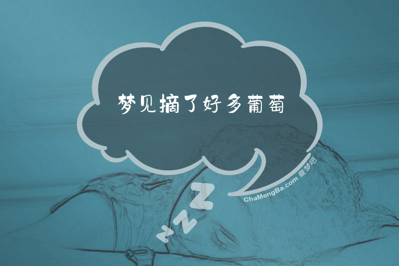 梦见摘了好多葡萄