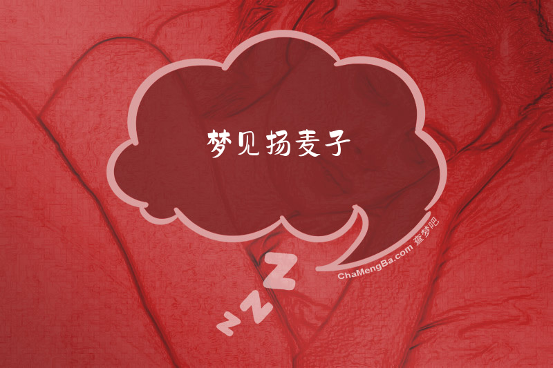 梦见扬麦子