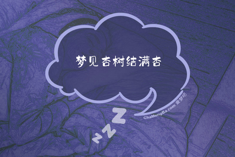 梦见杏树结满杏