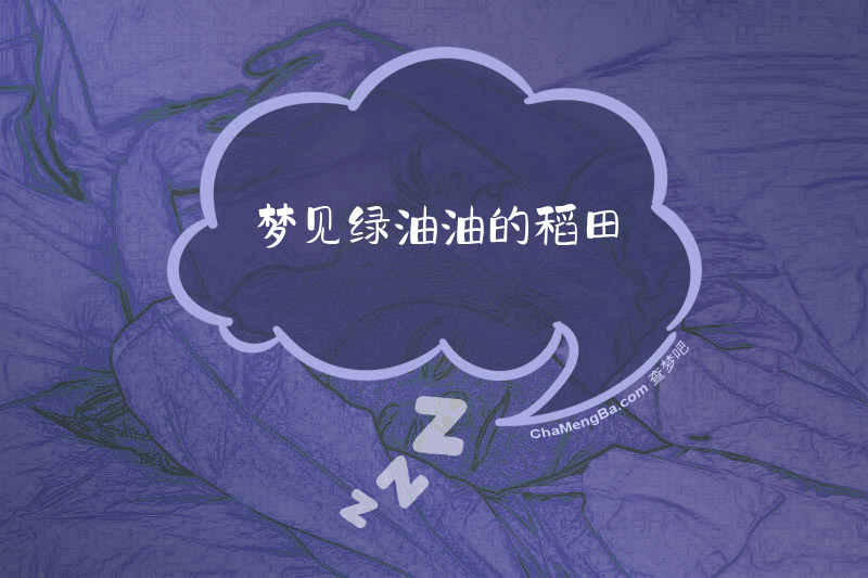 梦见绿油油的稻田