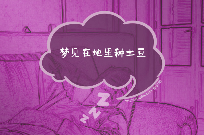 梦见在地里种土豆