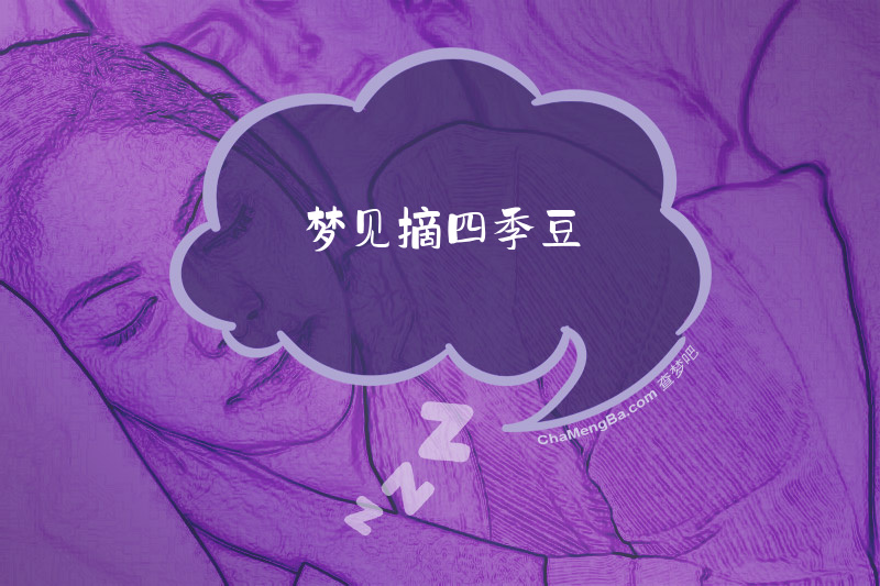 梦见摘四季豆