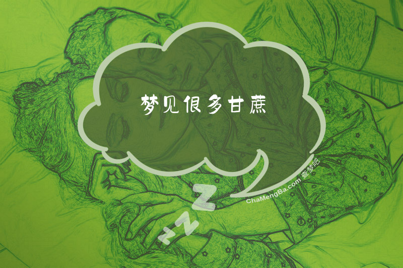 梦见很多甘蔗