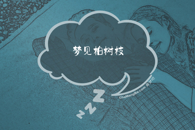 梦见柏树枝