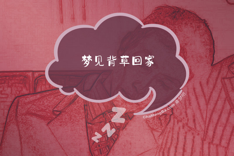 梦见背草回家