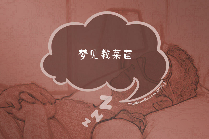 梦见栽菜苗