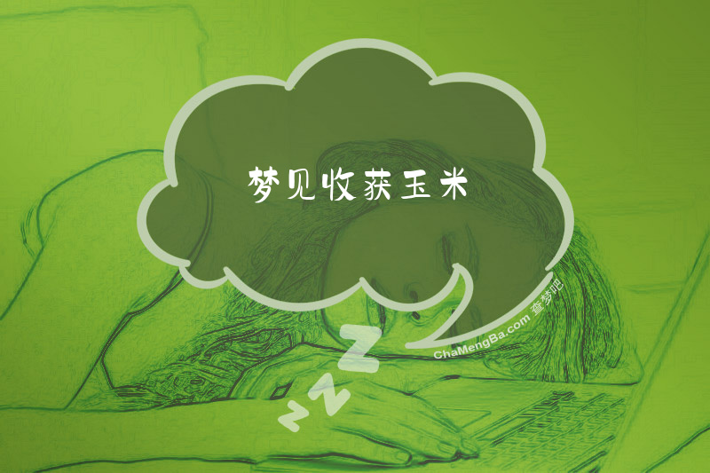 梦见收获玉米