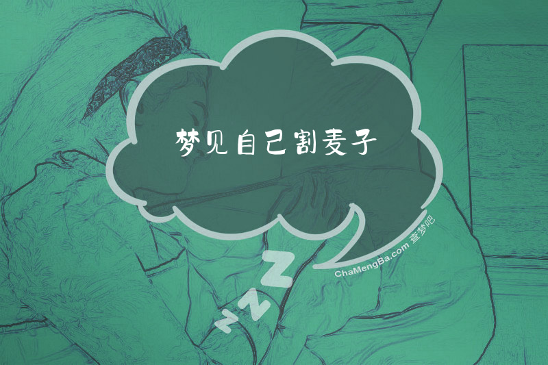 梦见自己割麦子