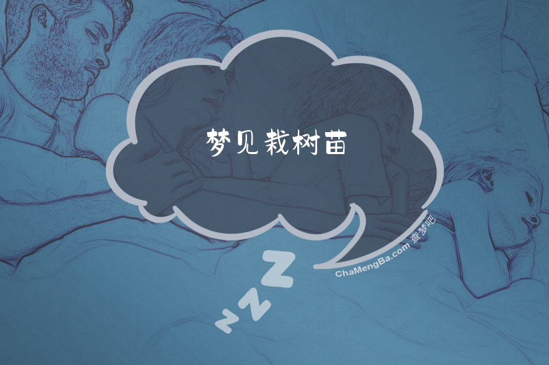 梦见栽树苗