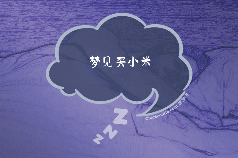 梦见买小米