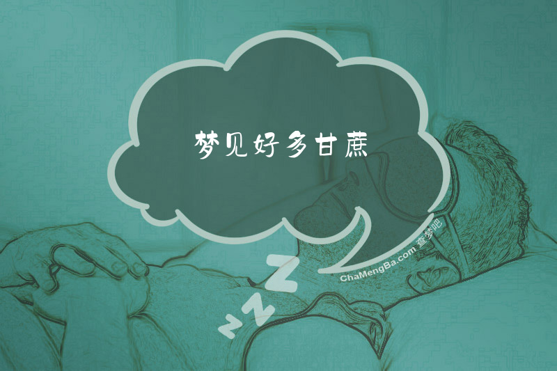 梦见好多甘蔗