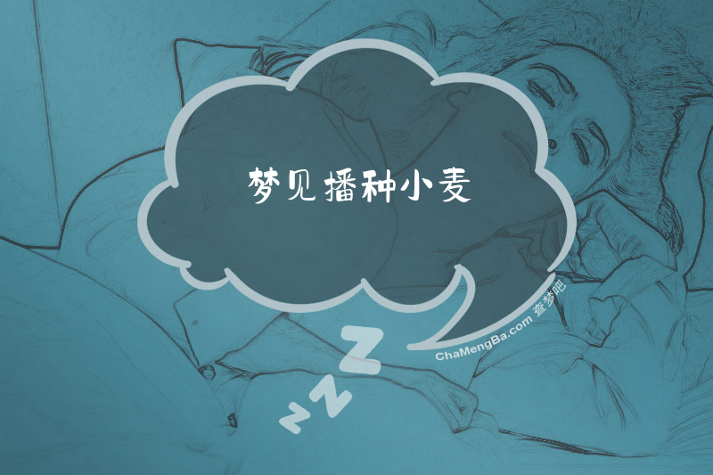 梦见播种小麦