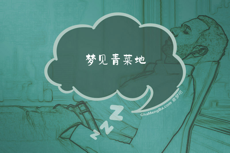 梦见青菜地