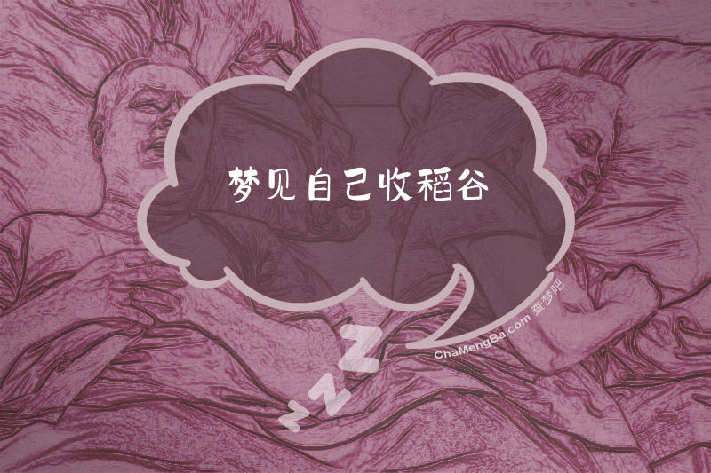 梦见自己收稻谷