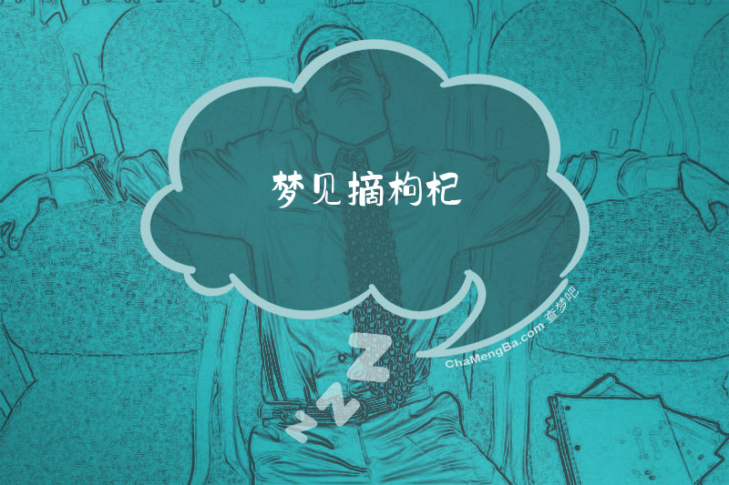 梦见摘枸杞