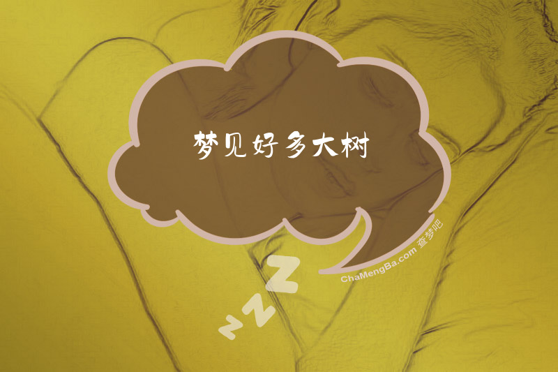 梦见好多大树