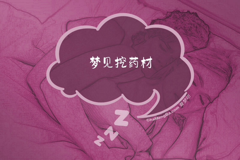 梦见挖药材