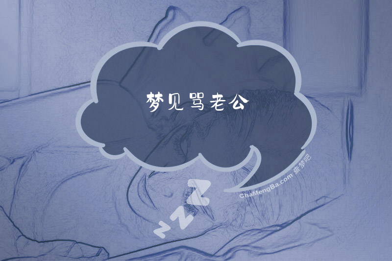 梦见骂老公