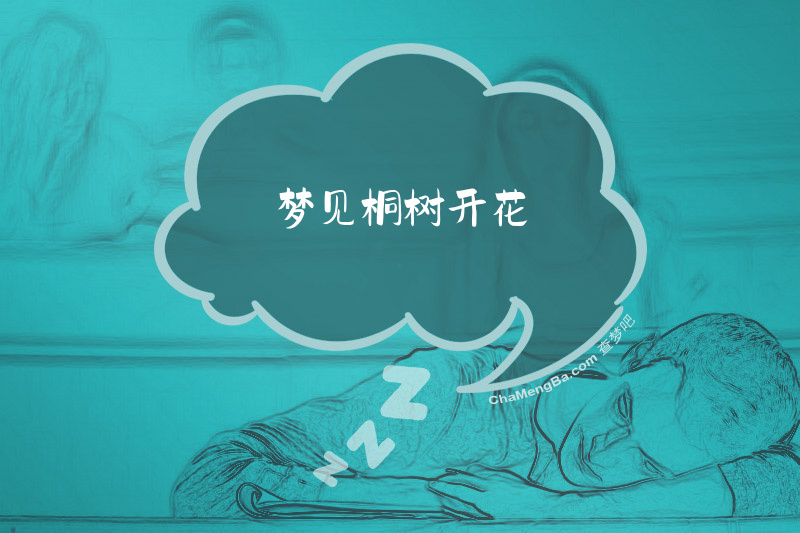 梦见桐树开花