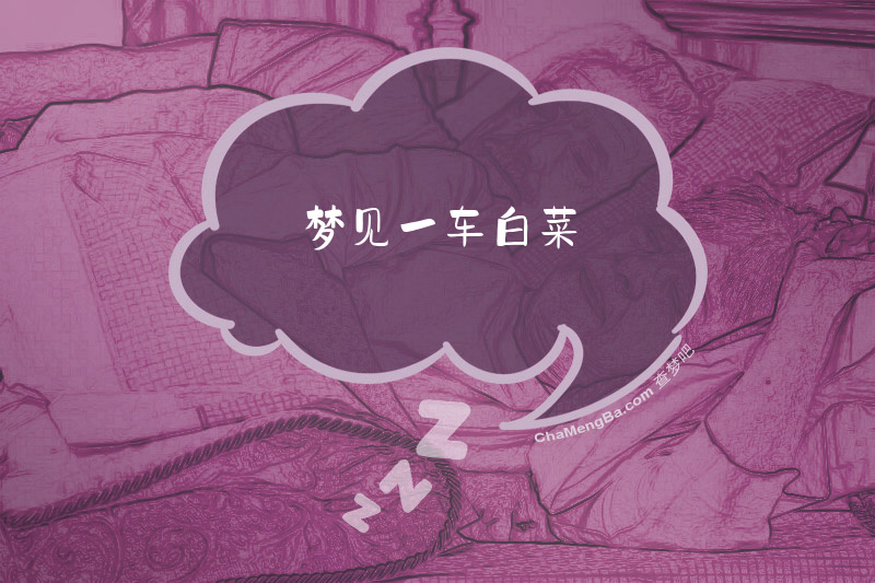 梦见一车白菜