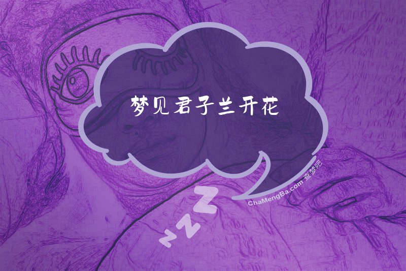 梦见君子兰开花