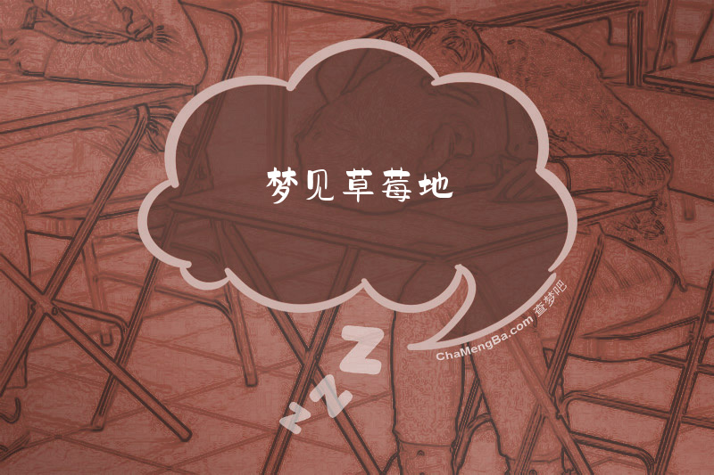 梦见草莓地