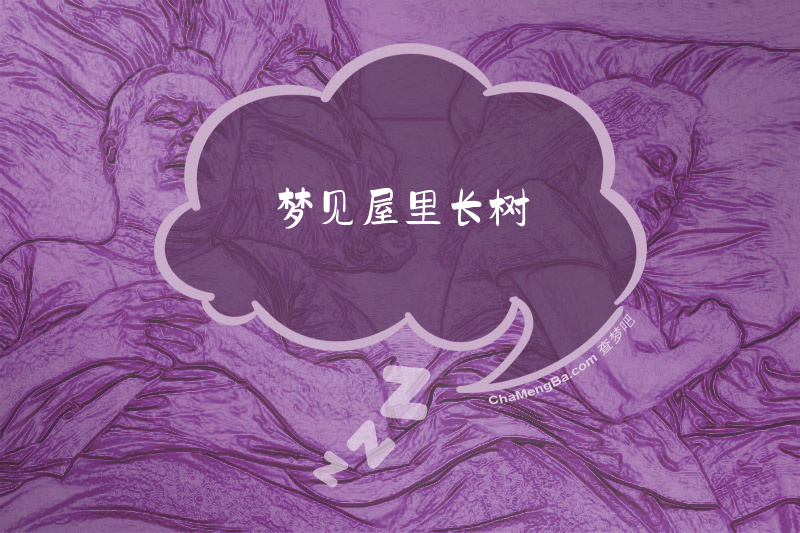 梦见屋里长树
