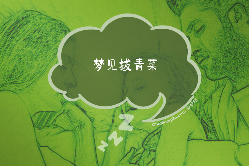 梦见拔青菜