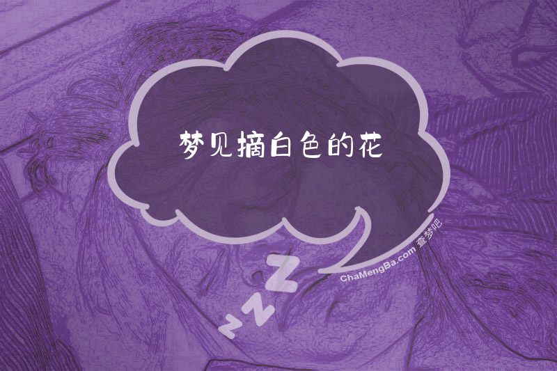 梦见摘白色的花
