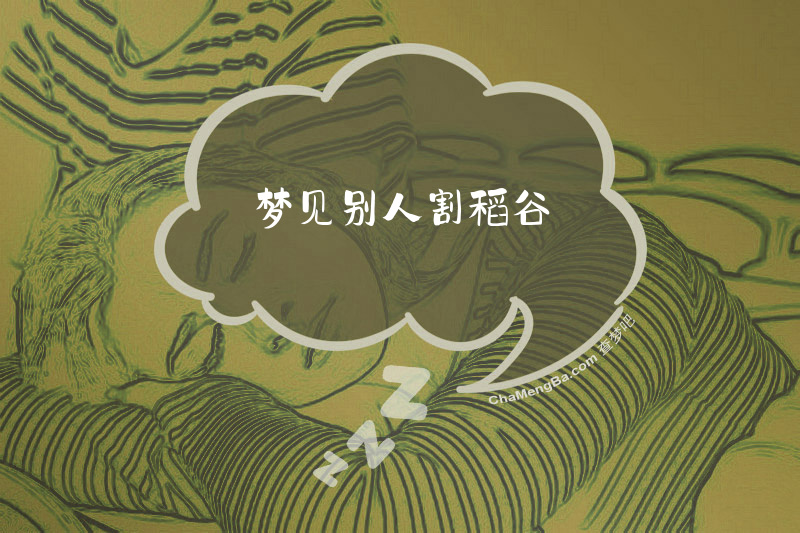 梦见别人割稻谷