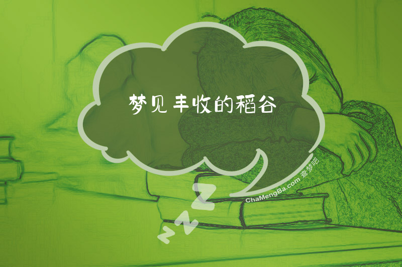梦见丰收的稻谷