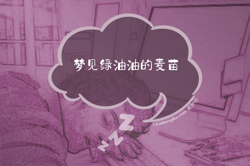梦见绿油油的麦苗